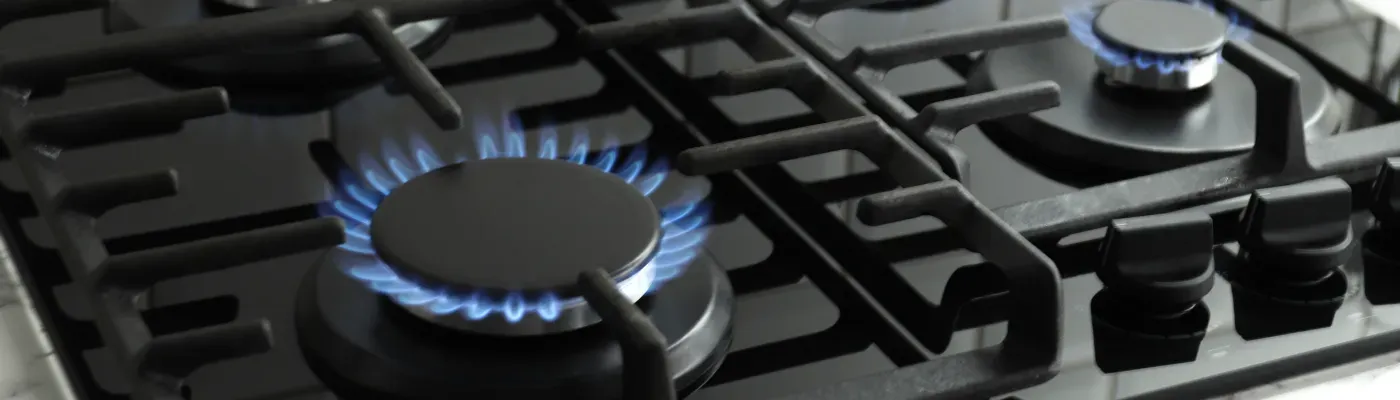 fuel choices fuel close up